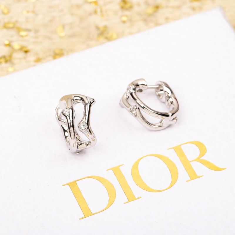 Christian Dior Earrings